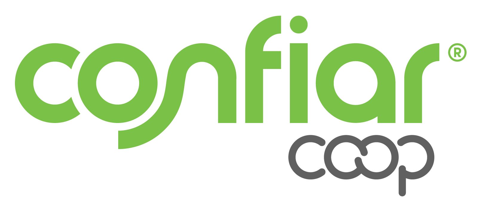 Organizador 1